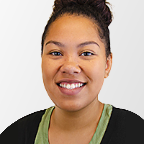 article writer